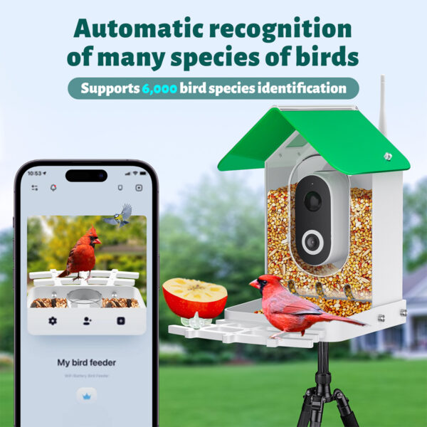 Smart Bird Feeder Camera AI Identify 8000+ Birds,Auto Capture Bird Videos & APP Notify Video Bird Camera for Bird Lovers-Ideal Gift for Family - Image 2