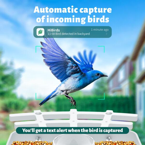 Smart Bird Feeder Camera AI Identify 8000+ Birds,Auto Capture Bird Videos & APP Notify Video Bird Camera for Bird Lovers-Ideal Gift for Family - Image 4