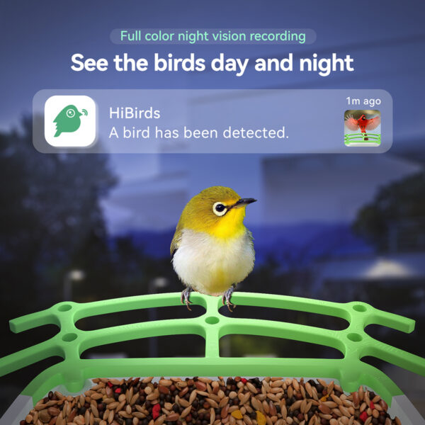 HiBirds-Smart Bird Feeder with Camera,Bird Watching Camera with Solar Powered,Auto Capture Bird Videos & Motion Detection,AI Camera,Ideal Gift for Bird Lover - Image 3