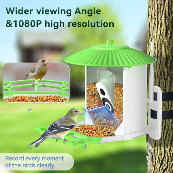 HiBirds-Smart Bird Feeder with Camera,Bird Watching Camera with Solar Powered,Auto Capture Bird Videos & Motion Detection,AI Camera,Ideal Gift for Bird Lover - Image 5